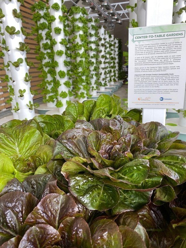 tower-farms-indoors-urban-smart-farms