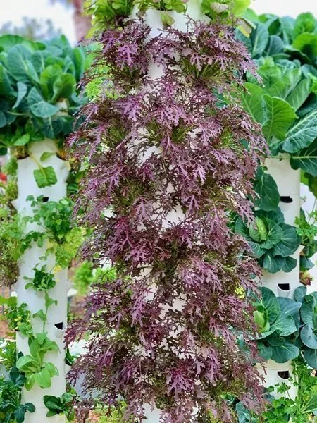 tower-garden-crop-planning