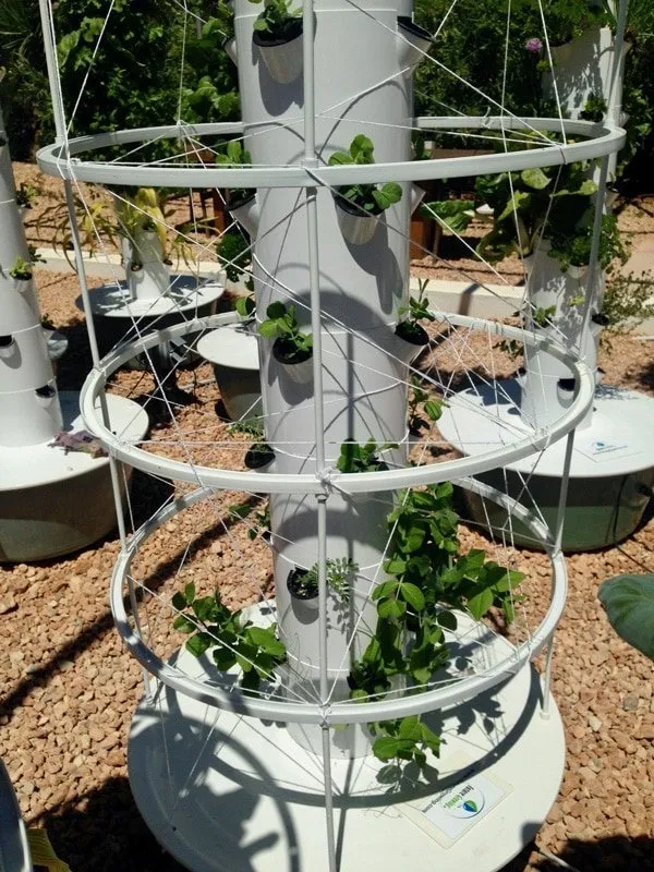 tower-garden-hydroponic-beans