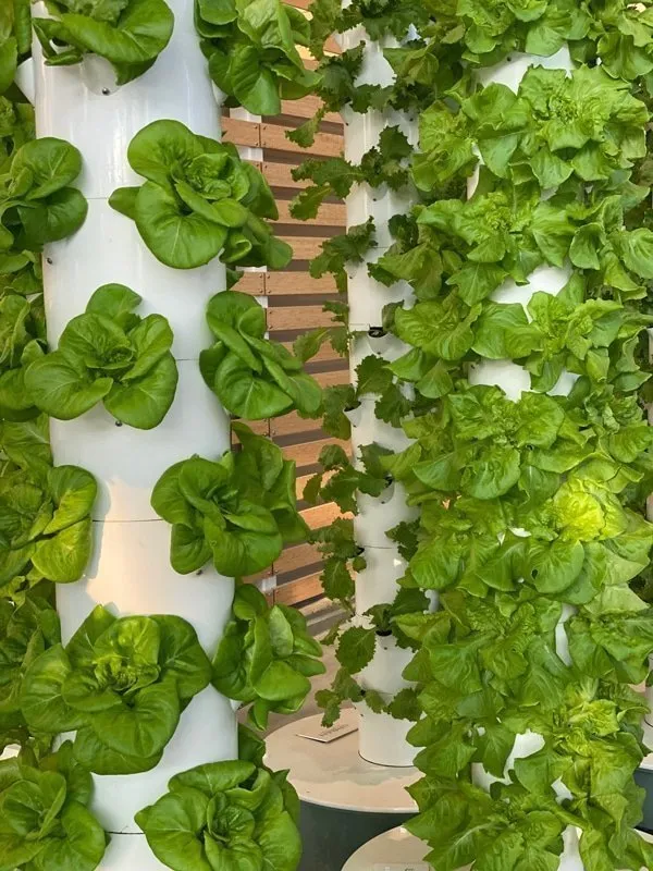 tower-garden-indoors-urban-smart-farms