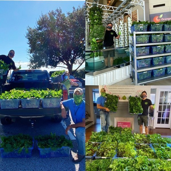 urban-smart-farms-aeroponics