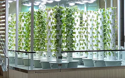 Urban Smart Farms food donation program in Florida
