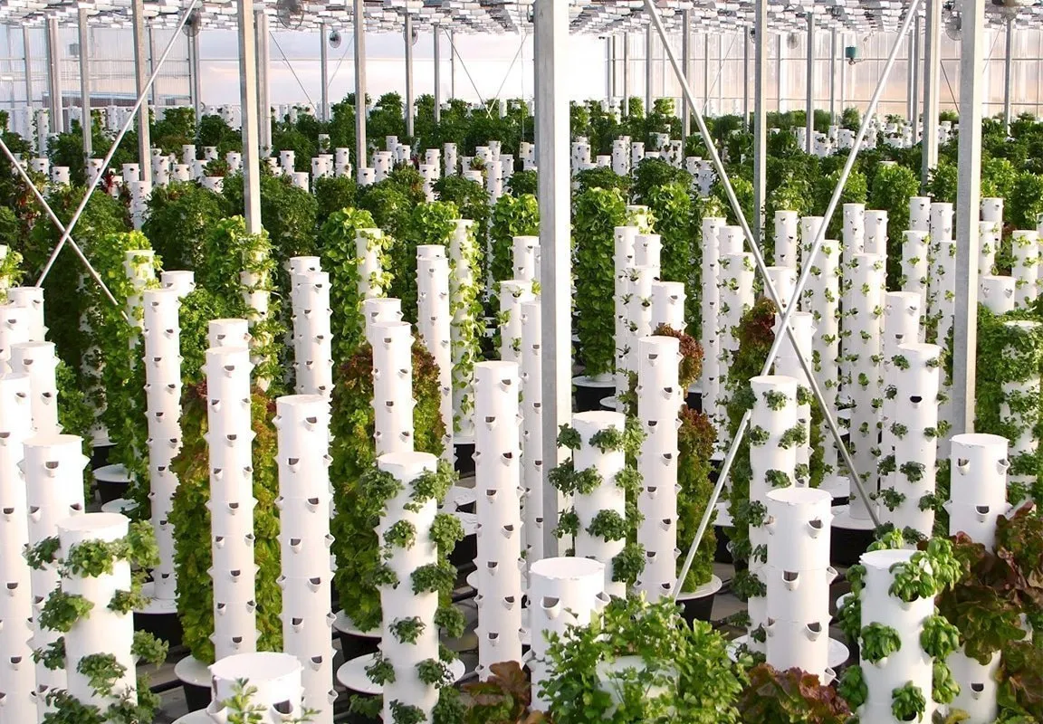 vertical-aeroponic-tower-farms