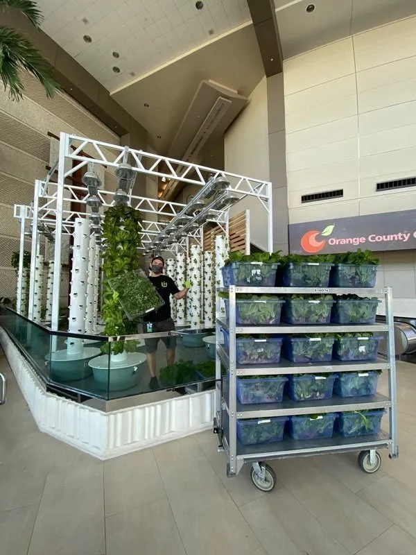 vertical-farms-urban-smart-farms