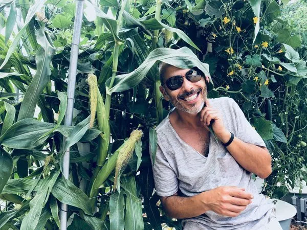 aeroponic-corn