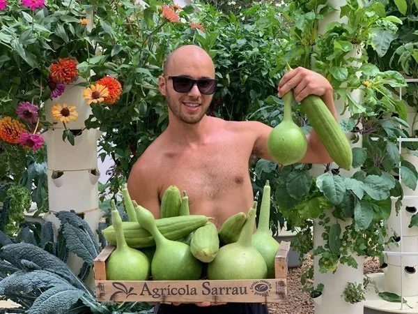 aeroponic-gourds