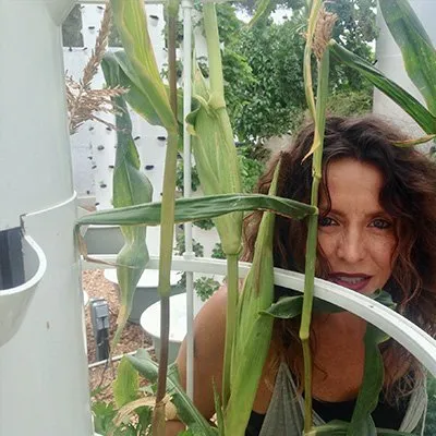 corn-tower-farms
