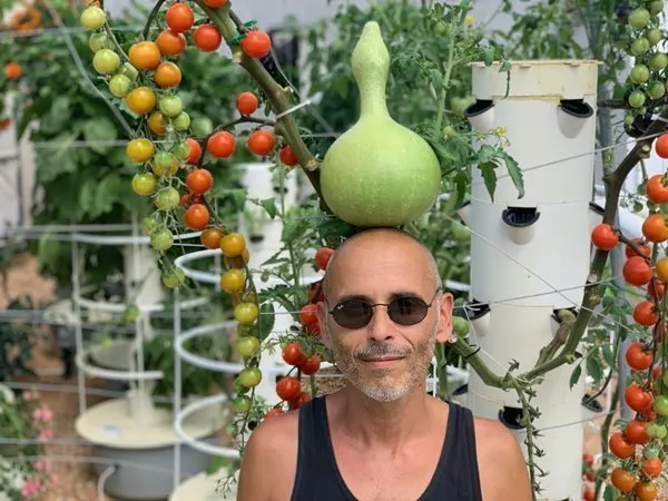hydroponic-gourds