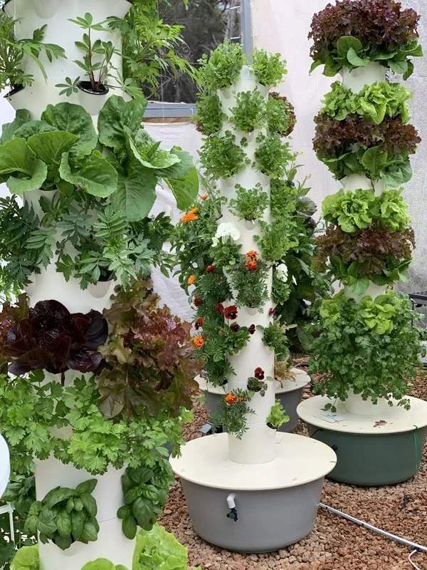 hydroponic-tower-garden