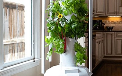 Difference between Tower Garden HOME and Tower Garden FLEX