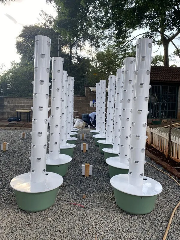 hydroponic-farm-kenya