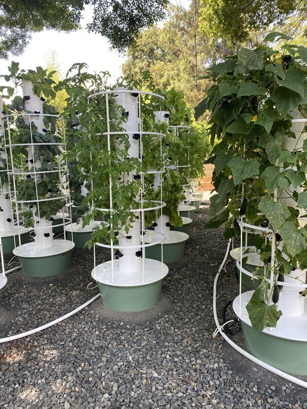 tower-farm-in-kenya