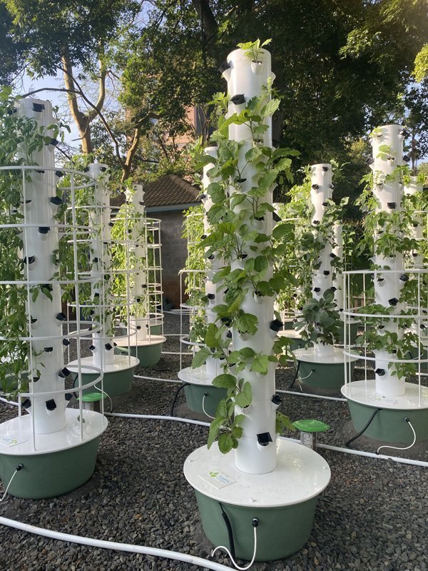 tower-farms-in-africa