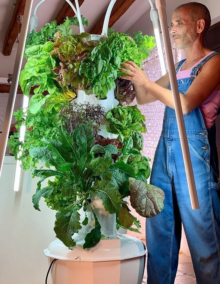 tower-garden-home1