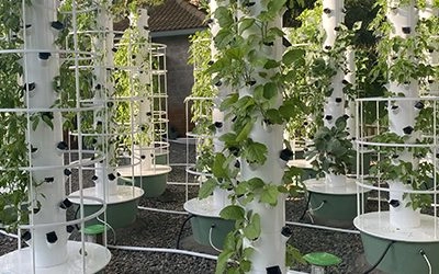 Vertical Aeroponic Farming in Africa