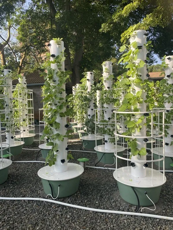 vertical-farming-in-africa