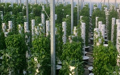 What is the average cost of a Tower Farm?
