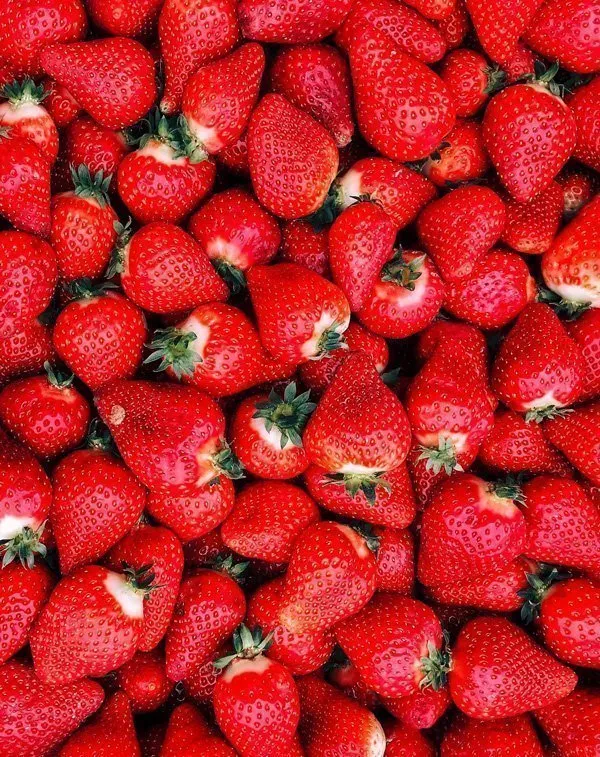 hydroponic-strawberry-urban-farm