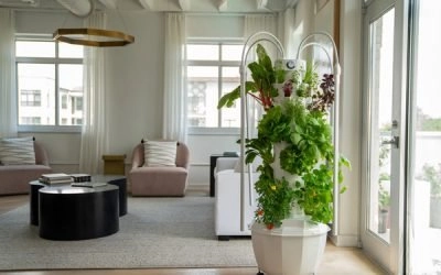 New Model of Tower Garden for Europe