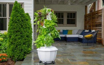 What Can You Grow in a Tower Garden HOME?