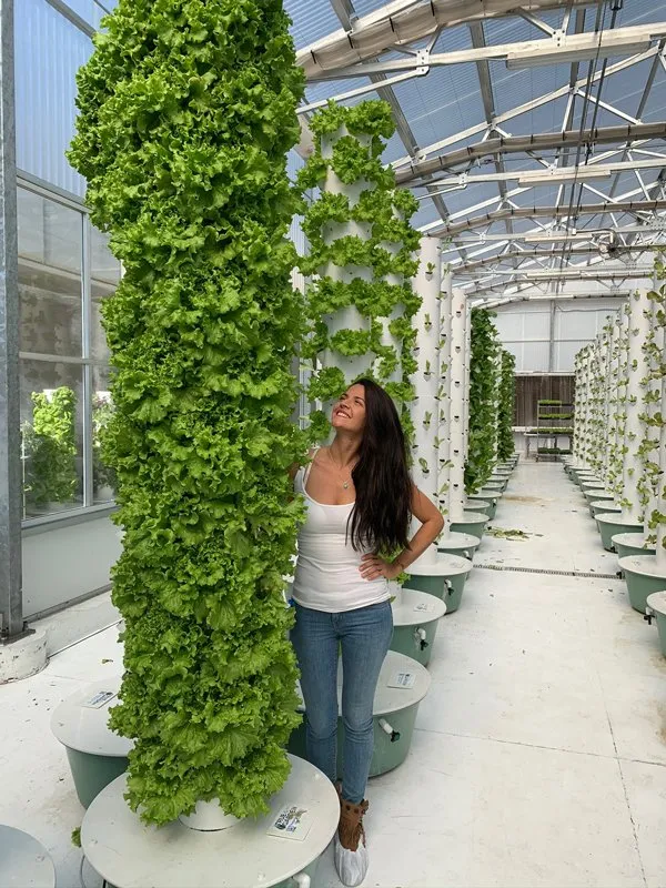 muir-lettuce-tower-garden