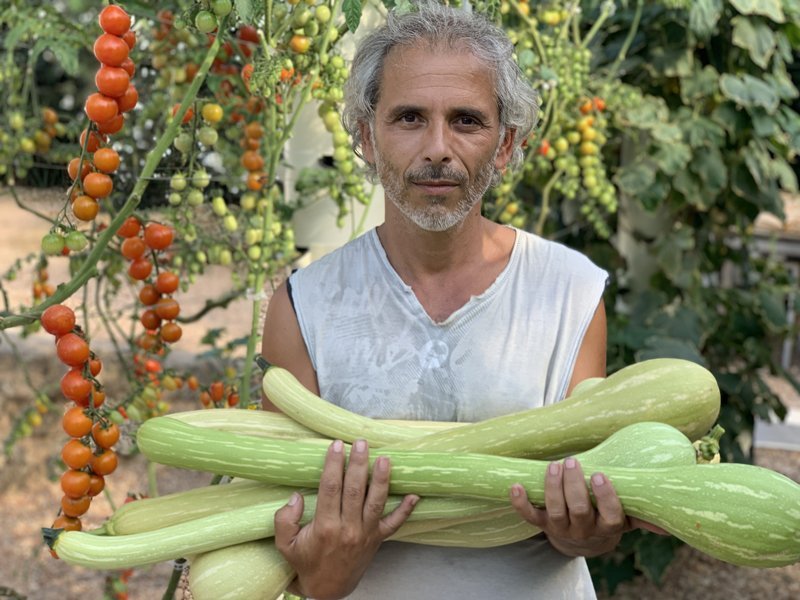 tromboncino-squash-tower-farms