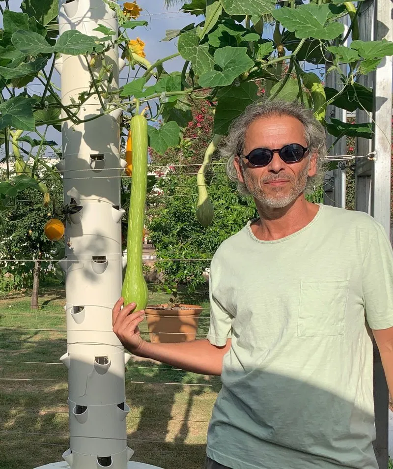 tromboncino-squash-tower-garden