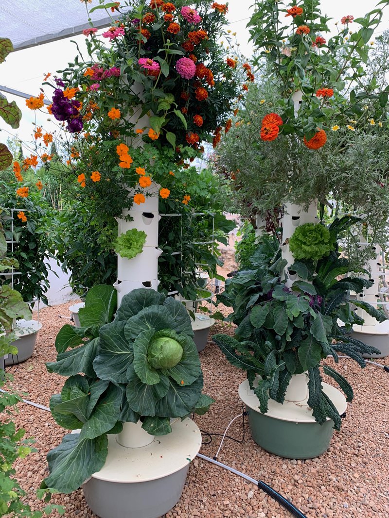 various-crops-tower-garden