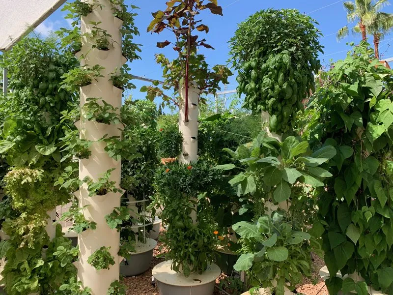 visiting-agrotonomy-tower-farms
