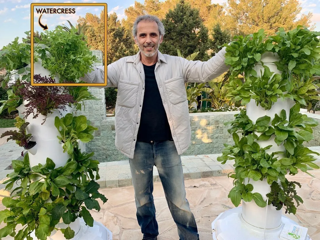 watercress-on-tower-garden