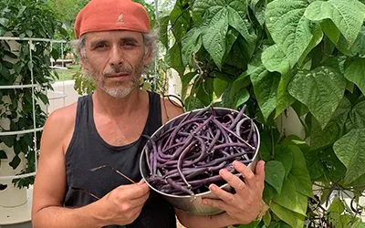 Pole Beans Versus Bush Beans Using Tower Garden Technology