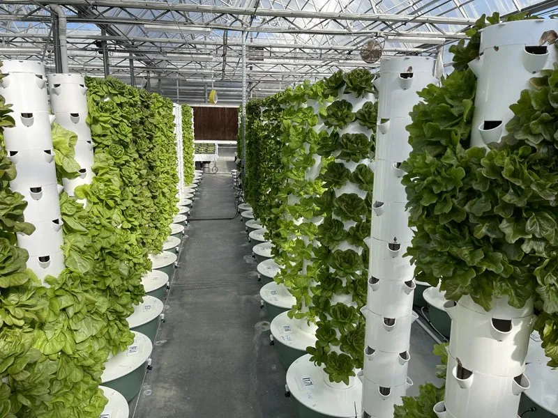 tower-farms-agriculture