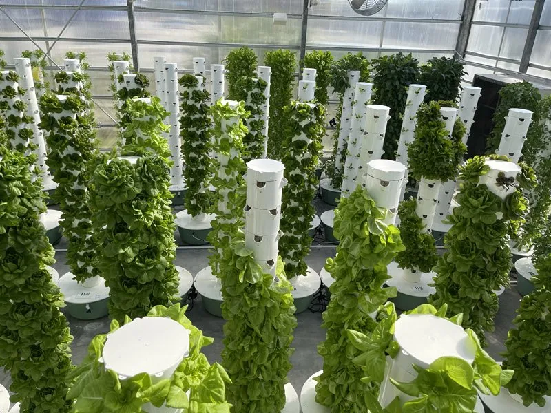 tower-farms-hydroponic-systems