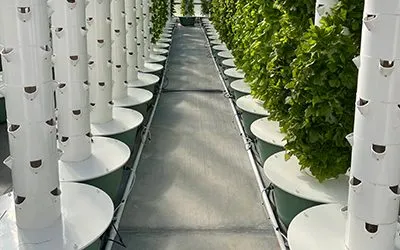 Tower Farms: No Previous Farming Experience Required!