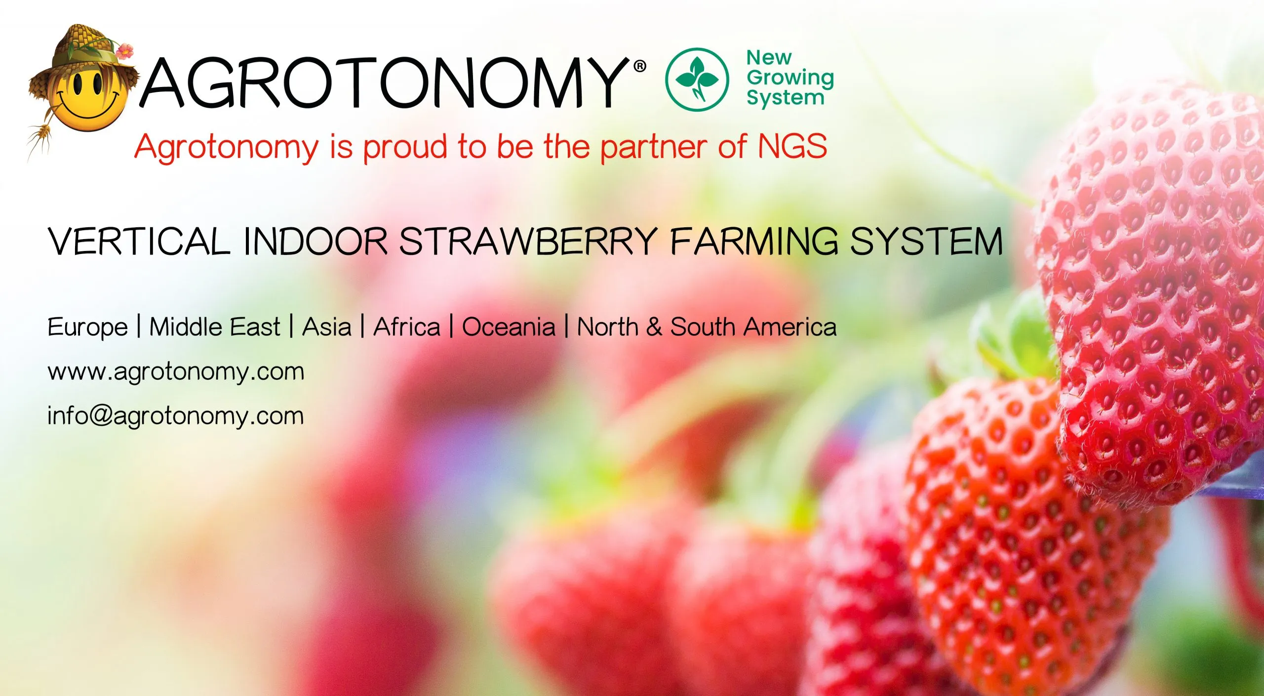 strawberry-vertical-farms