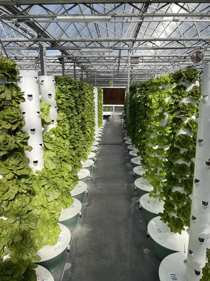 aeroponic-farming-nutrients