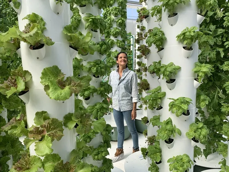 aeroponic-nutrients-for-tower-farms
