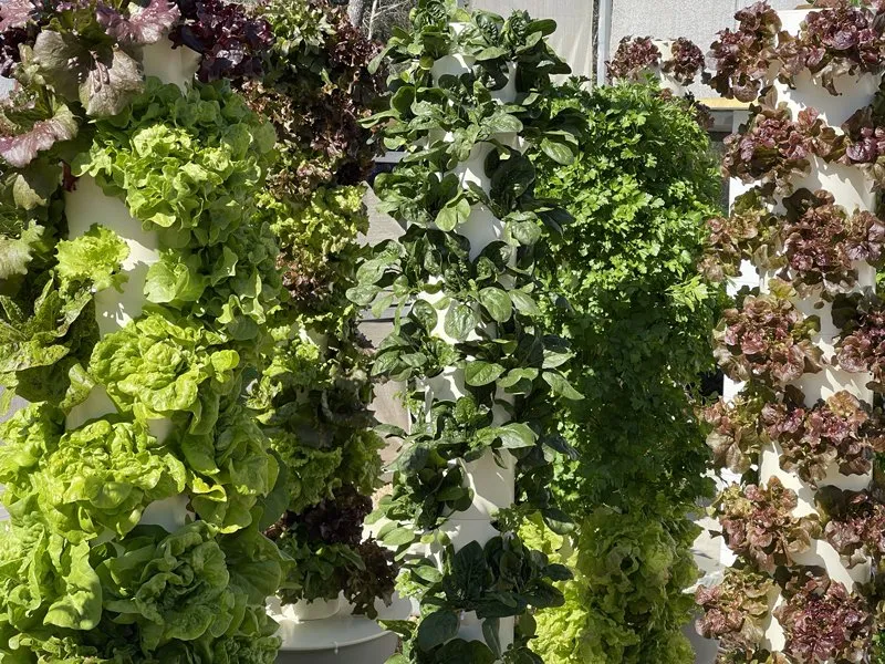 tower-garden-nutrients-vertical-farming