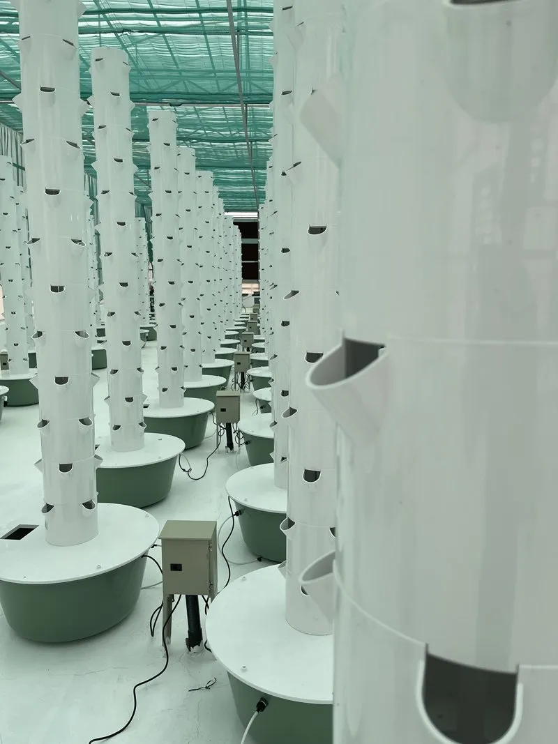 aeroponic-farm-kuwait