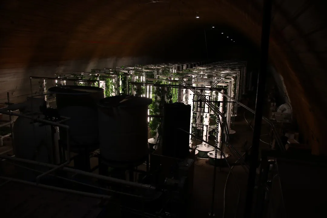 aquaponics-vertical-farm