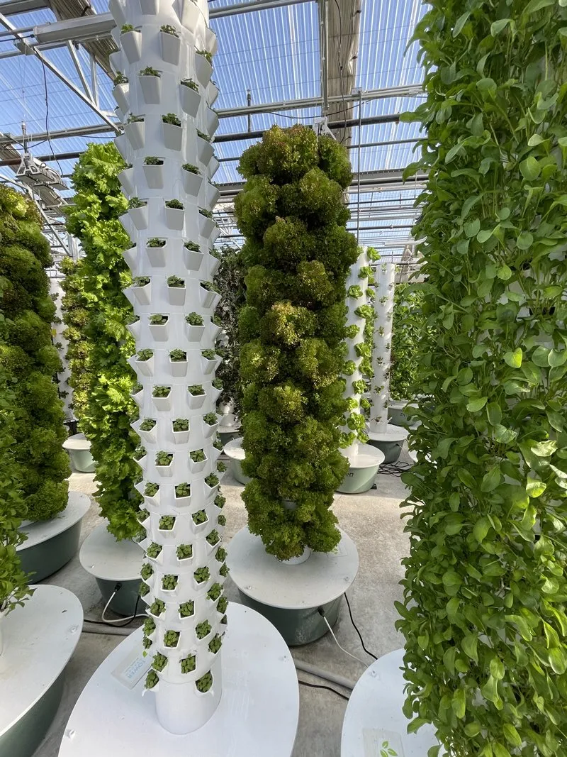 high-density-aeroponic-towers