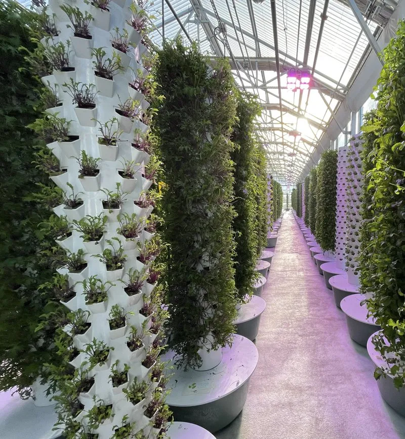 high-density-tower-gardens