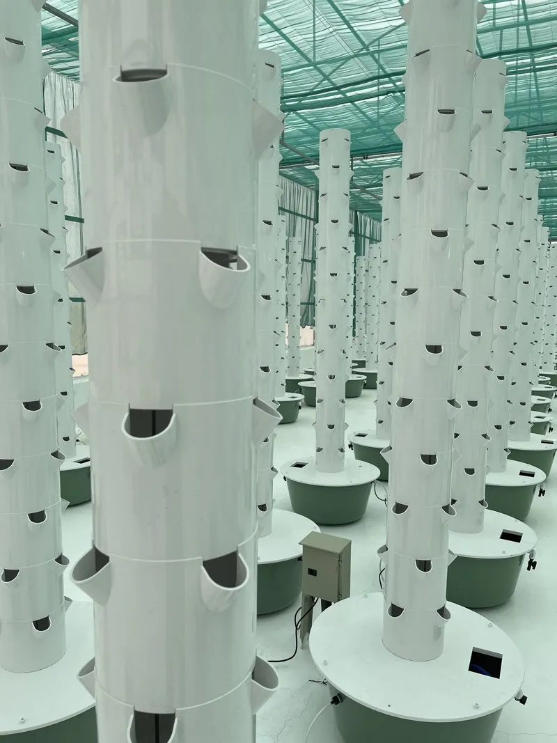 kuwait-hydroponic-farm