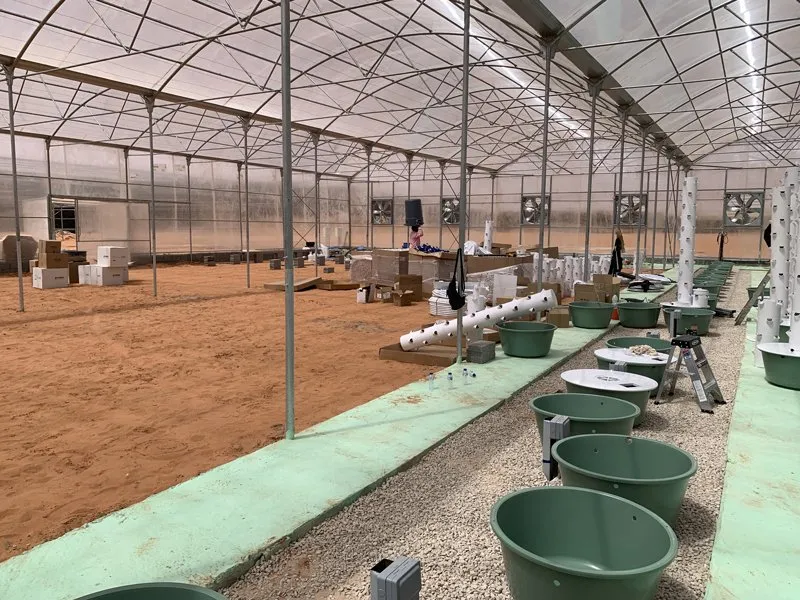 saudi-arabia-hydroponics