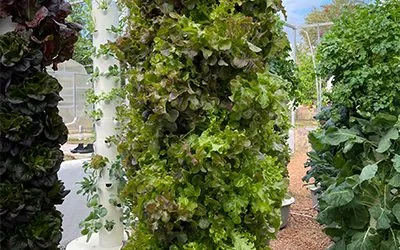 Space Savings of a Tower Farm