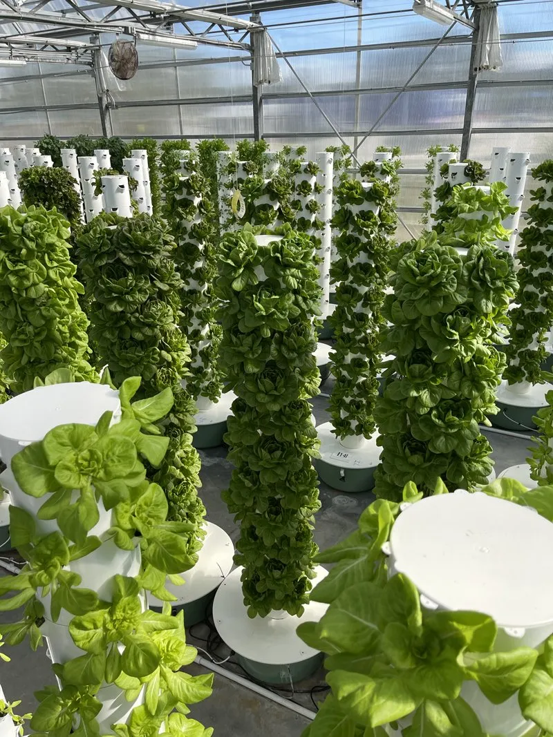 space-savings-of-tower-farm