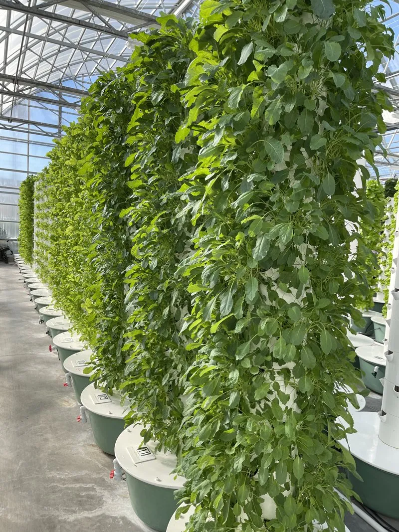 space-savings-of-vertical-farming