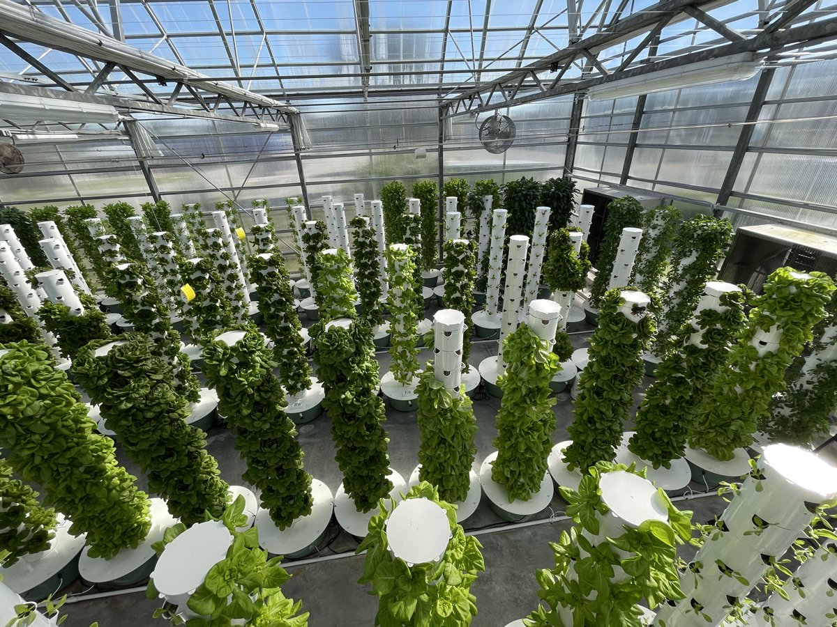 tower-farm-using-reverse-osmosis