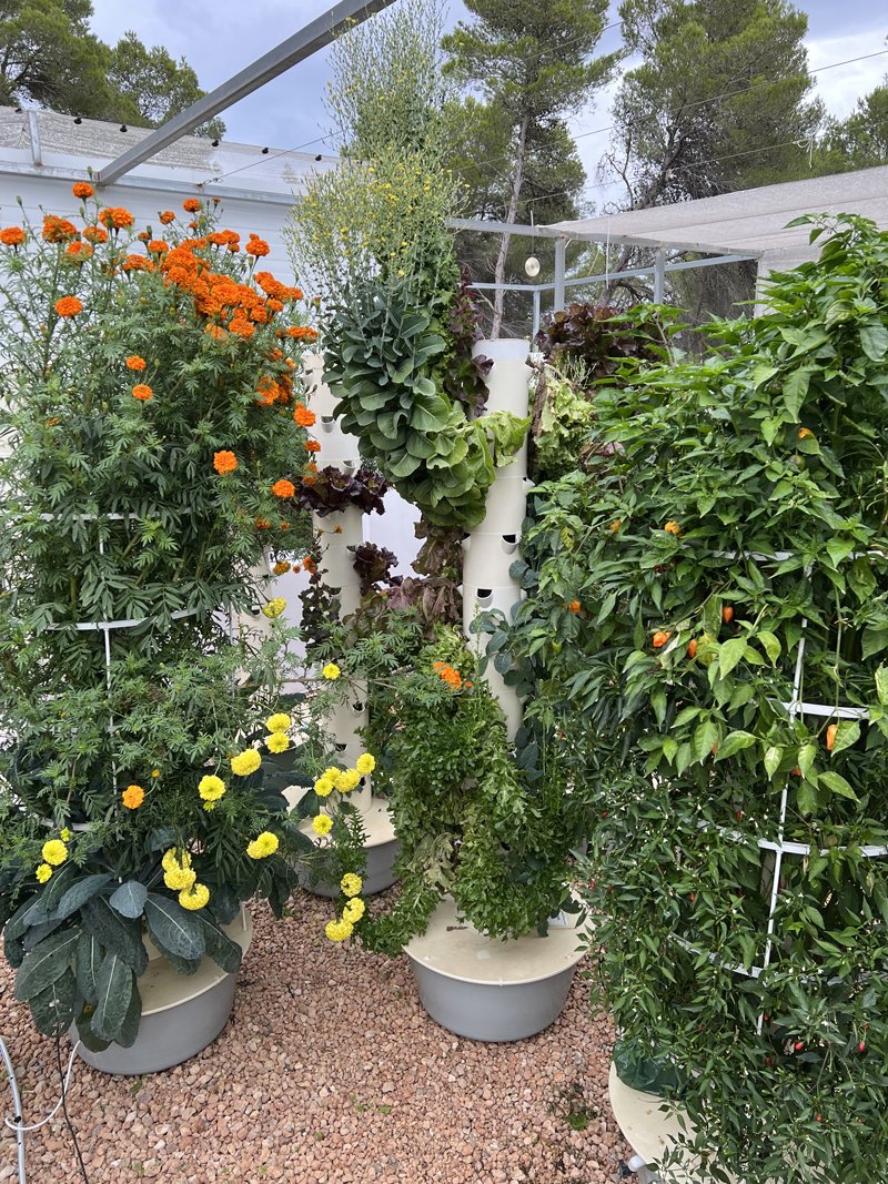 tower-farming-outdoors