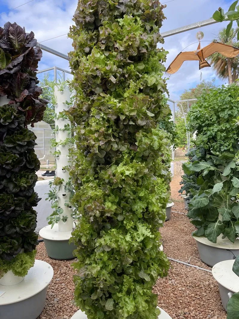 vertical-farm-space-saving